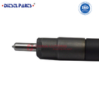 High quality common rail injector system EMBR00301D injector fits for delphi injector